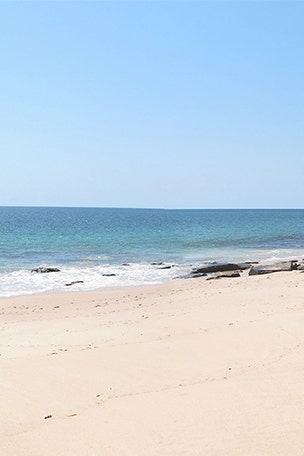Cruise forgets woman on beach