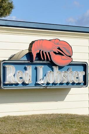 Man gets drunk, sues Red Lobster
