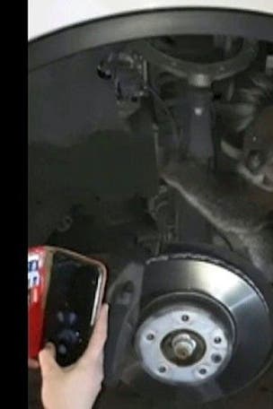 Koala takes a wild ride