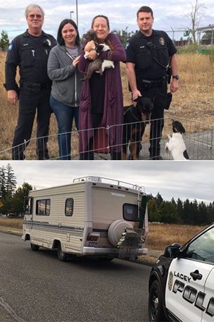 11 dogs stolen with RV