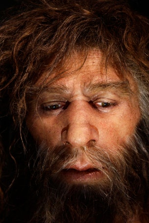 Get set for Neanderthal surprise