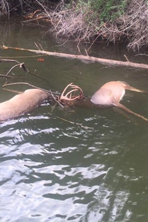 Fishermen make strange find