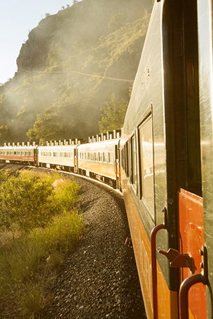 Vomit train sends 25 to hospital