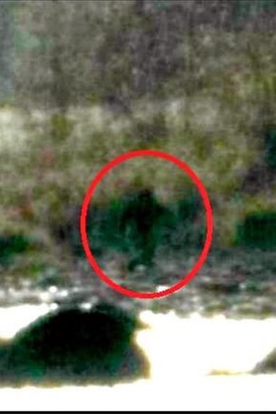 'Bigfoot' spotted in California?