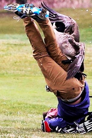 Goose tackles golfer on course