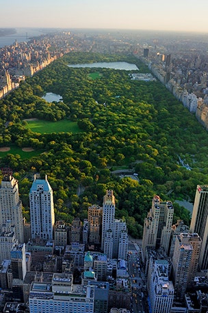 New York banning cars here