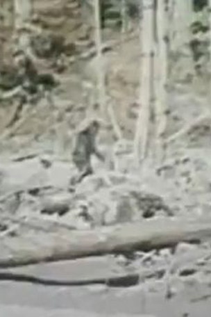 Bigfoot spotted in New Jersey?