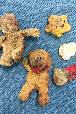 Shock discovery in dog's stomach