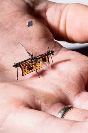 Wireless 'robofly' is laser-powered