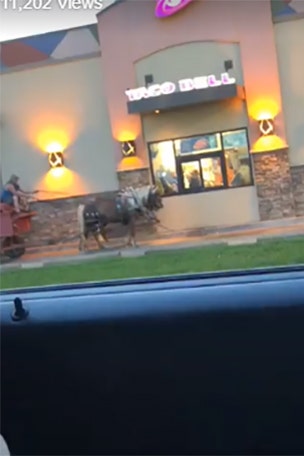 Strange sight at Taco Bell drive-thru