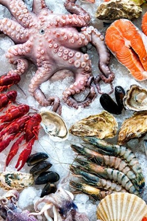 Seafood key to getting pregnant?