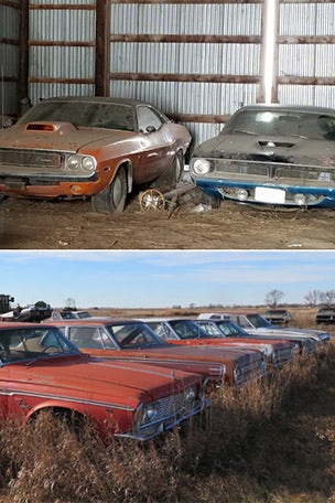 Muscle car hoard for sale