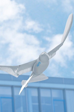 Is it a bird or is it a drone?