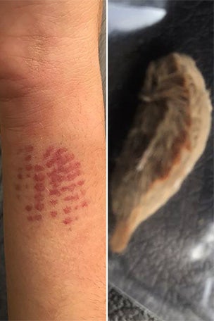 Caterpillar caused THIS?!