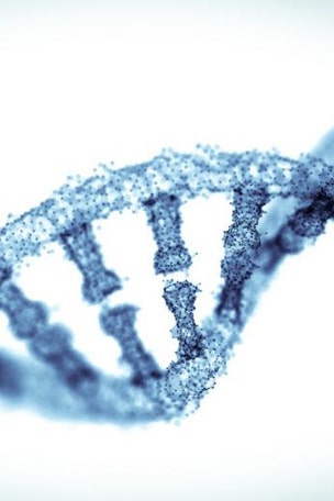 Giant panda DNA discovered