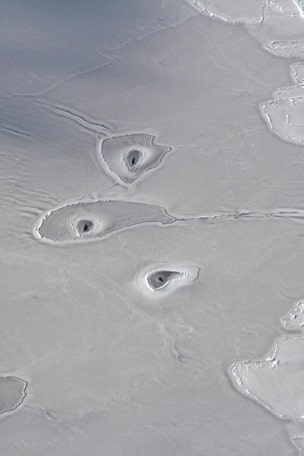 NASA's chilling warning