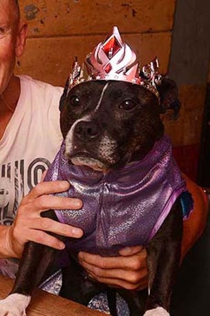 Most spoiled dog in the world?
