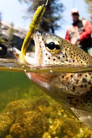 A better way to fish?