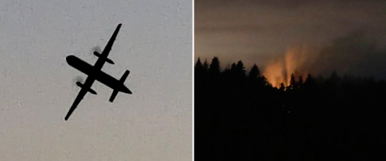 'Suicidal male' crashes plane after 'unauthorized take-off' from Seattle-area airport