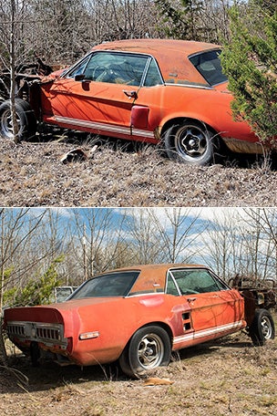 Rotting Mustang worth millions