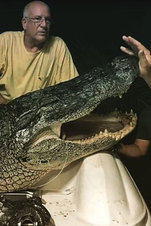 Pilot catches giant 1,000-pound gator