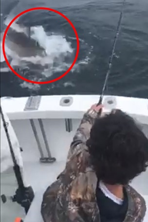 Little fisherman makes shocking catch