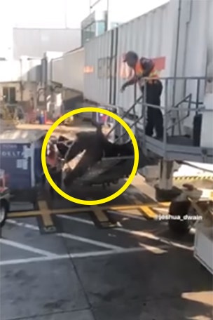 Probably NOT what he was going for