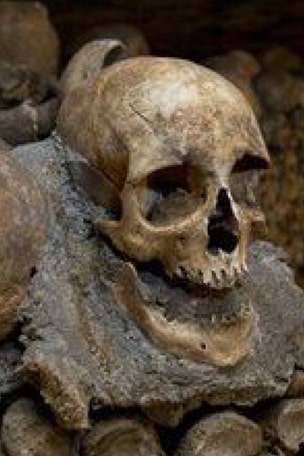 Chilling Black Death warning