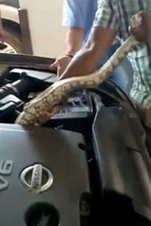 Python find SHOCKS driver
