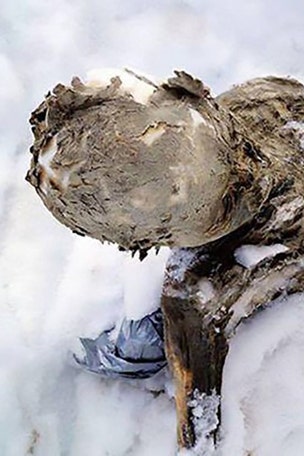 Gruesome volcano discovery