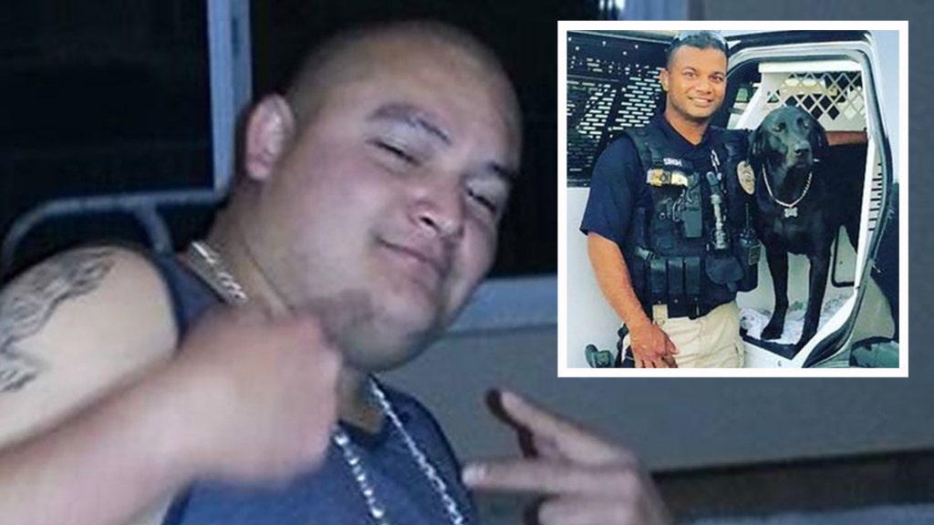 Illegal immigrant fugitive taken into custody in cop's death; 5 others arrested