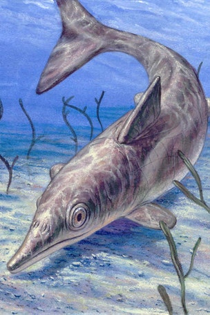 180-million-year-old sea monster found