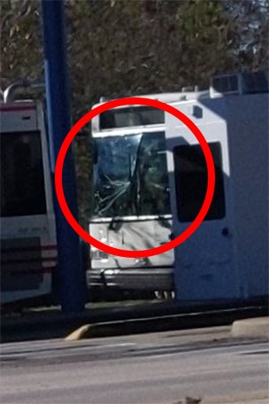 Bus accident at Disney World