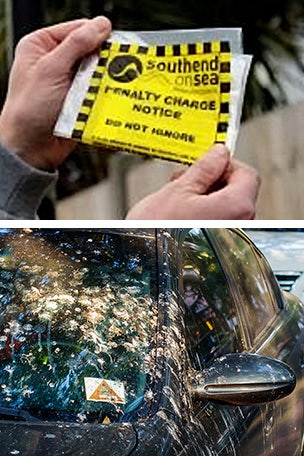 $200 ticket for THIS?!