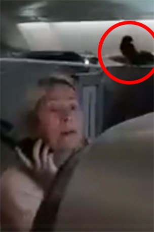 Flyer SHOCKED by fellow passenger