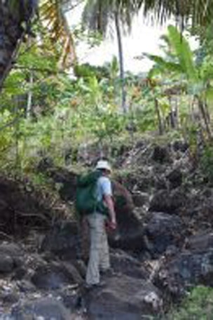 'Impossible' discovery made on remote island
