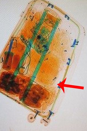 Luggage contained BIG surprise…