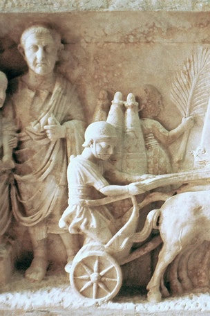 Ancient Rome slave turned into WHAT?