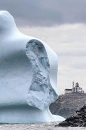 Stunning 'iceberg alley' pics