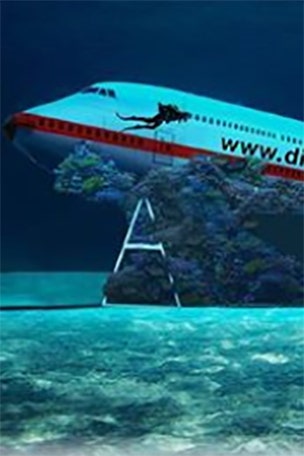 Sunk 747 a tourist attraction?