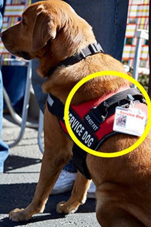 Burger chain boots family over this?