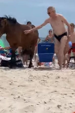 Wild horse kicks speedo-clad tourist in the groin