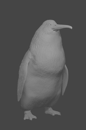 Giant 'human-sized' penguin discovery