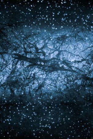 Mysterious 'half-magnets' from the Sun found