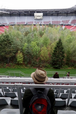Soccer stadium turned into 'forest'