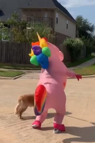 Mom's adorable stunt goes viral