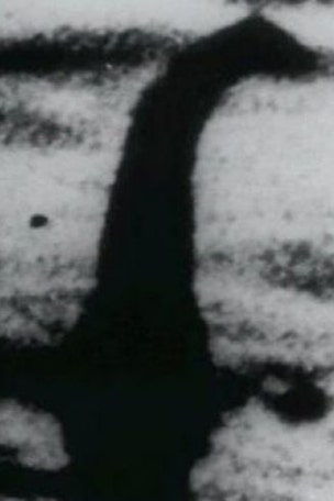China's 'Loch Ness monster' spotted?