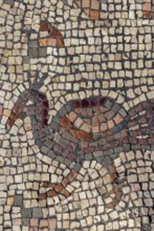 'Miracle' Biblical mosaic discovered?