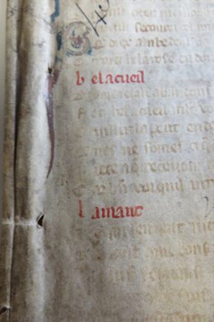 Ancient '50 Shades of Grey' discovered