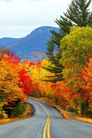 Fall vs. autumn - here's the big difference